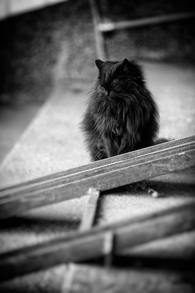 Photograph by Рамиль Газизов