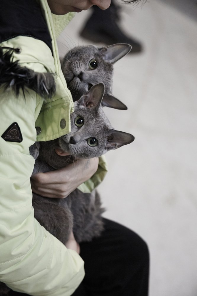 Photograph by Рамиль Газизов