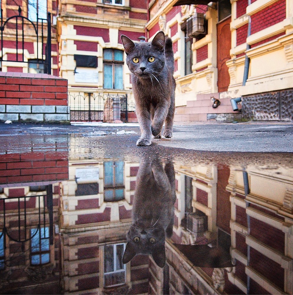 Photograph by Юрий Бершадский