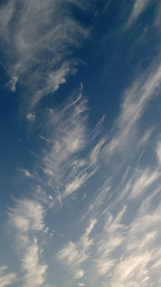 Photo #3387626