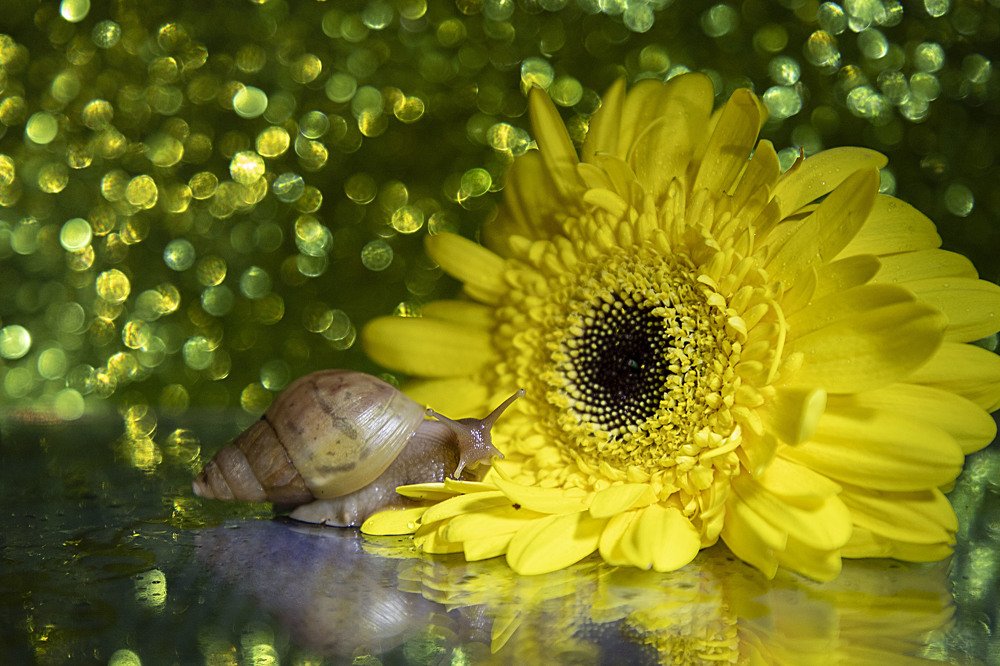 Photograph by Екатерина Вивюрская