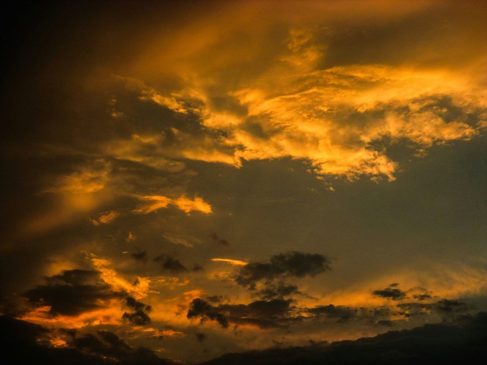 Photograph by Aeshvarya Yadav