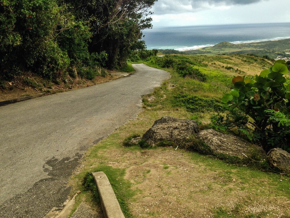 Photograph by Meier Zorica