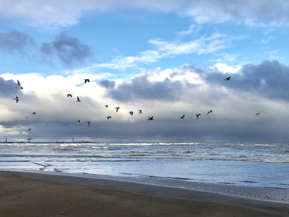 Photograph by Елена Мормоль