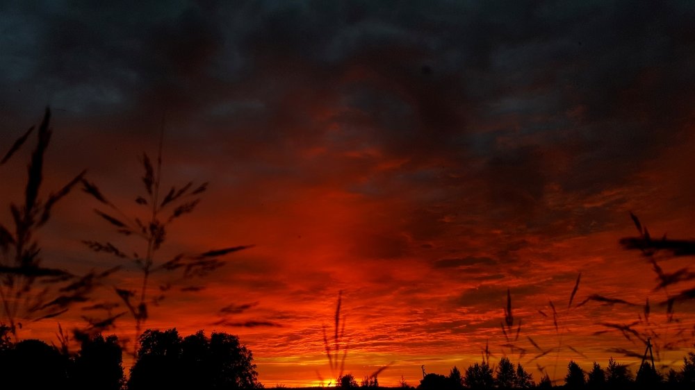 Photograph by Юлия