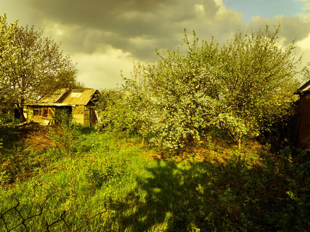 Заброшеный домик