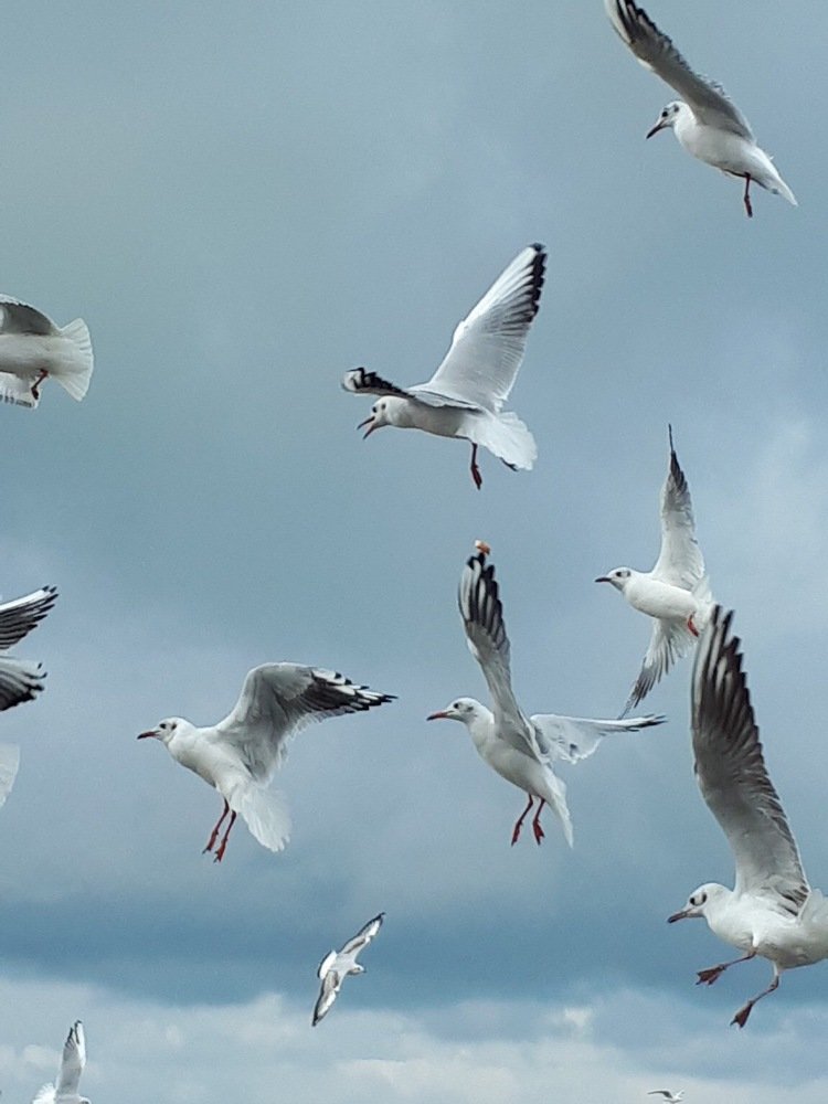 Photograph by Ирина Леонова