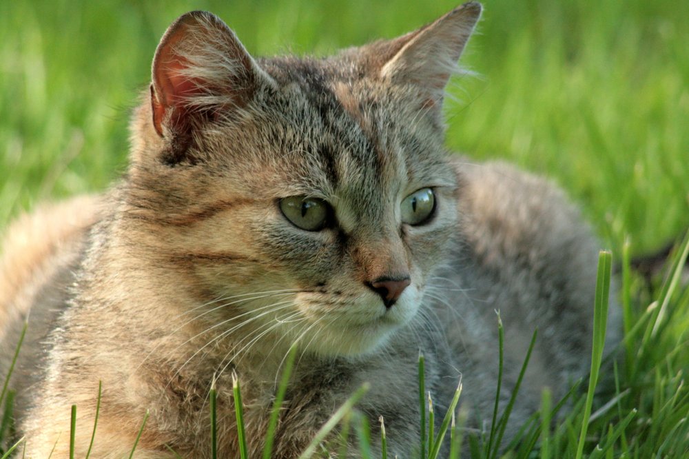 Photograph by Богдан Бигун