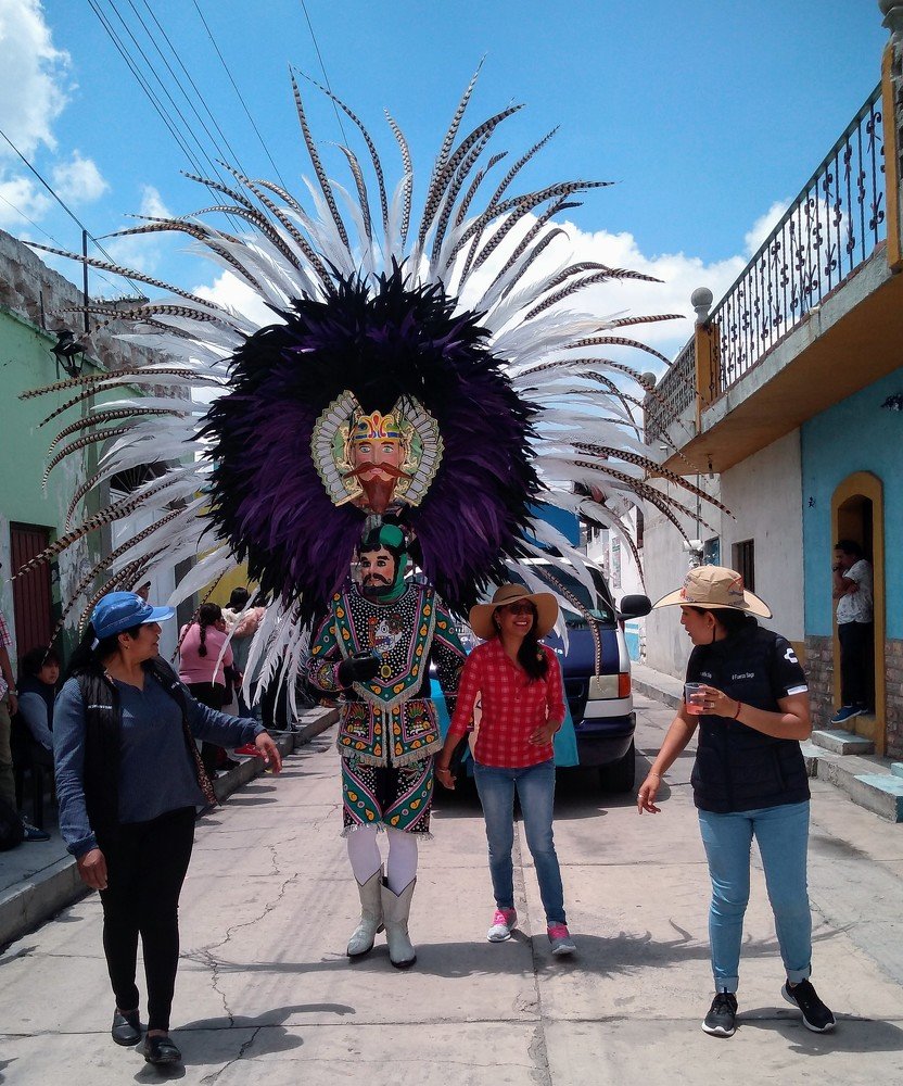 Amazing plume