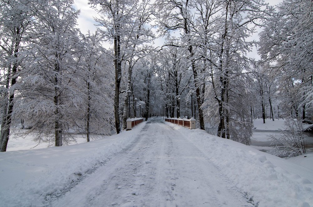 Winter road