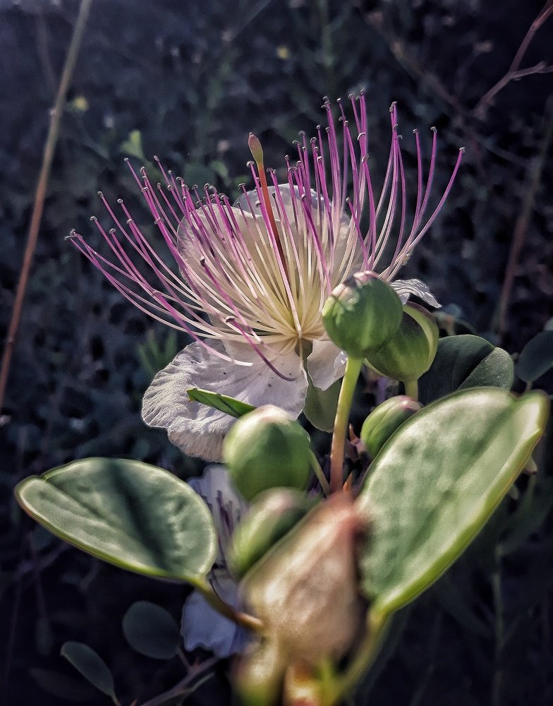 Nature is surprising