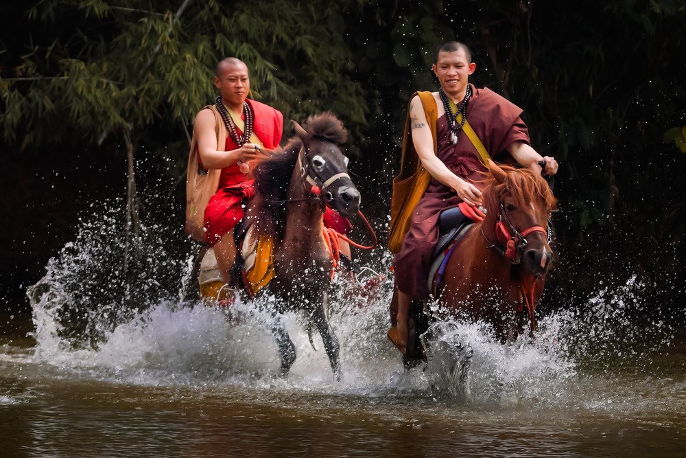 The monk and the horse