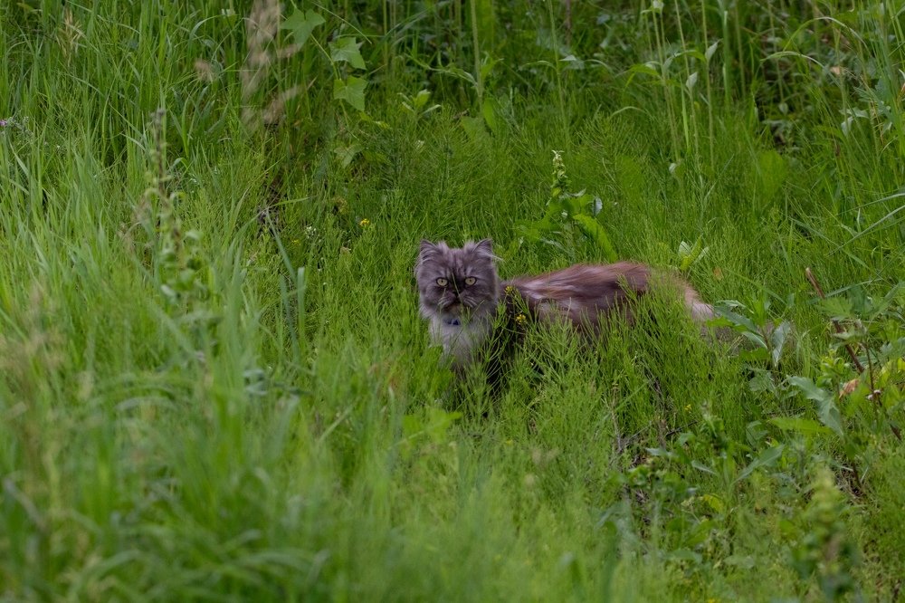 Photograph by Георгий Ковалев