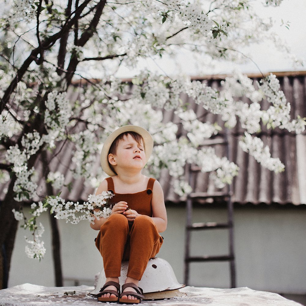 майский день