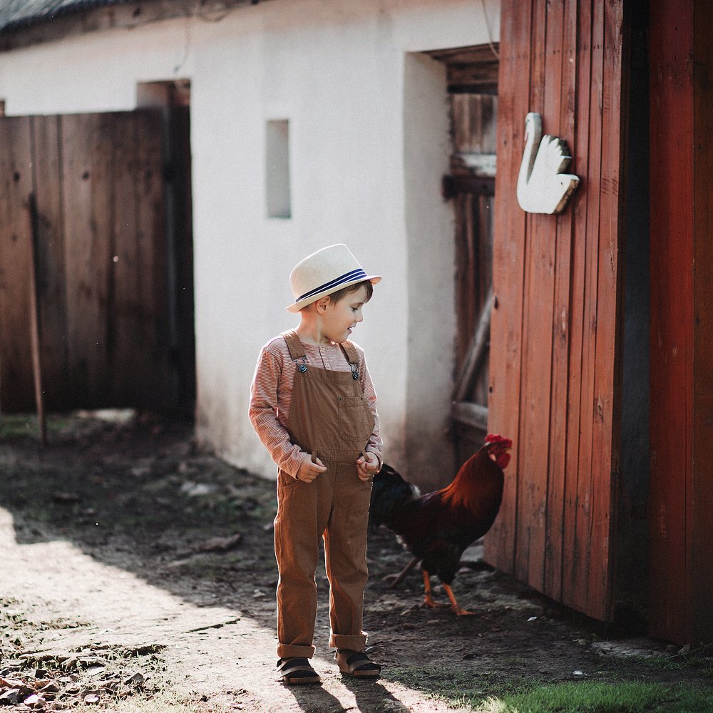 неожиданная встреча