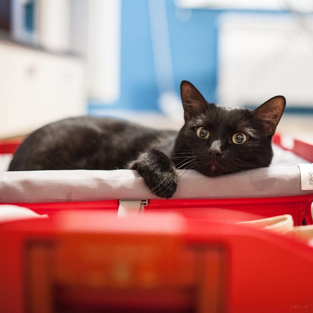 Photograph by Тата Бакбак