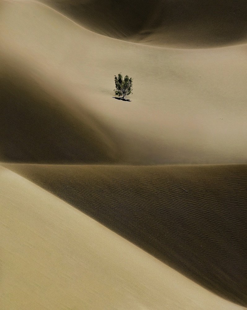 Photograph by Mina Yazdani rad