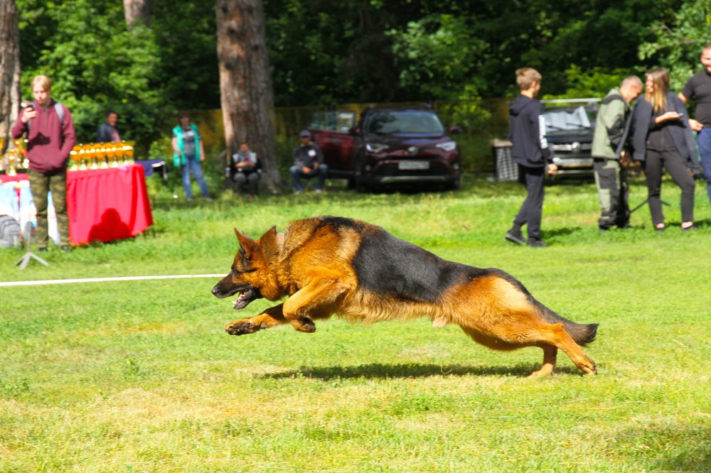 Мощь и сила в движении