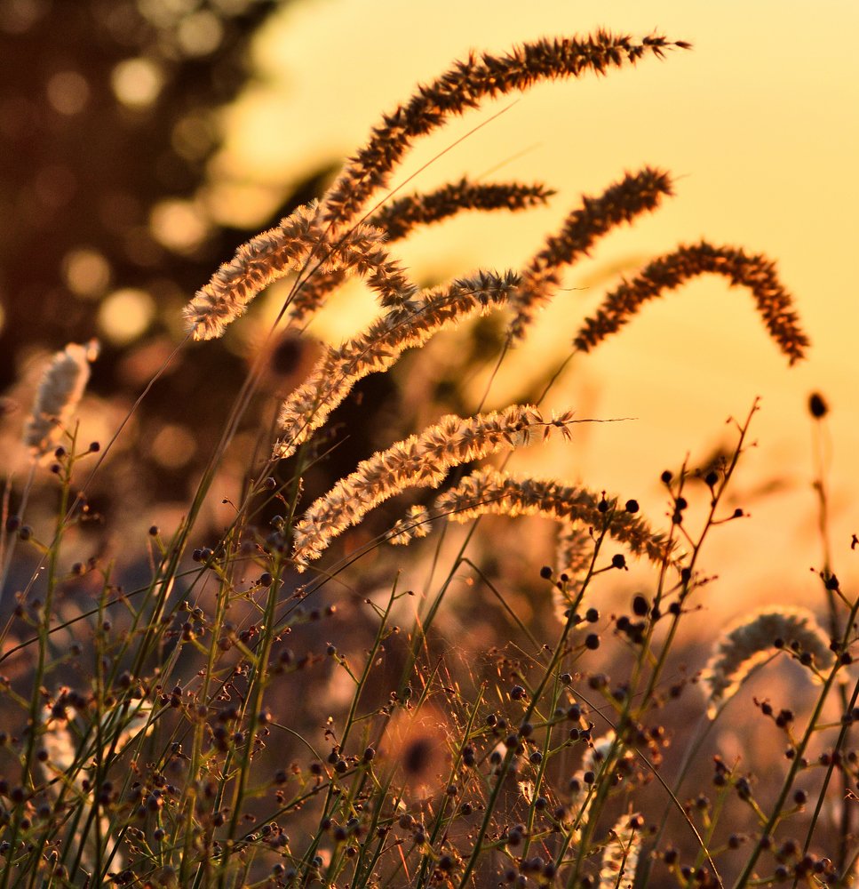 Photograph by Konstantinos Makris