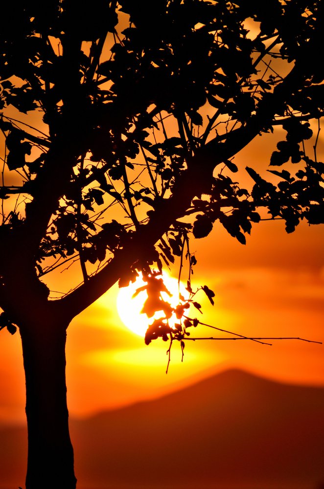 Photograph by Konstantinos Makris