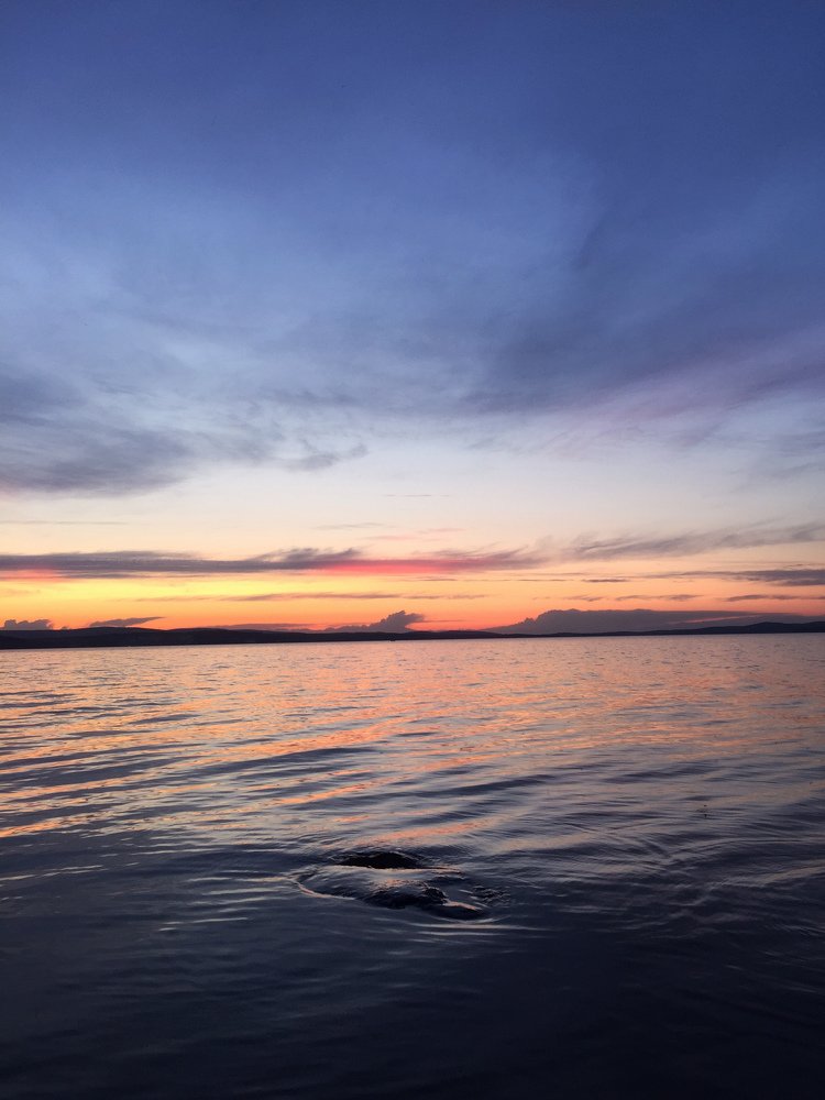 Поверхностное натяжение