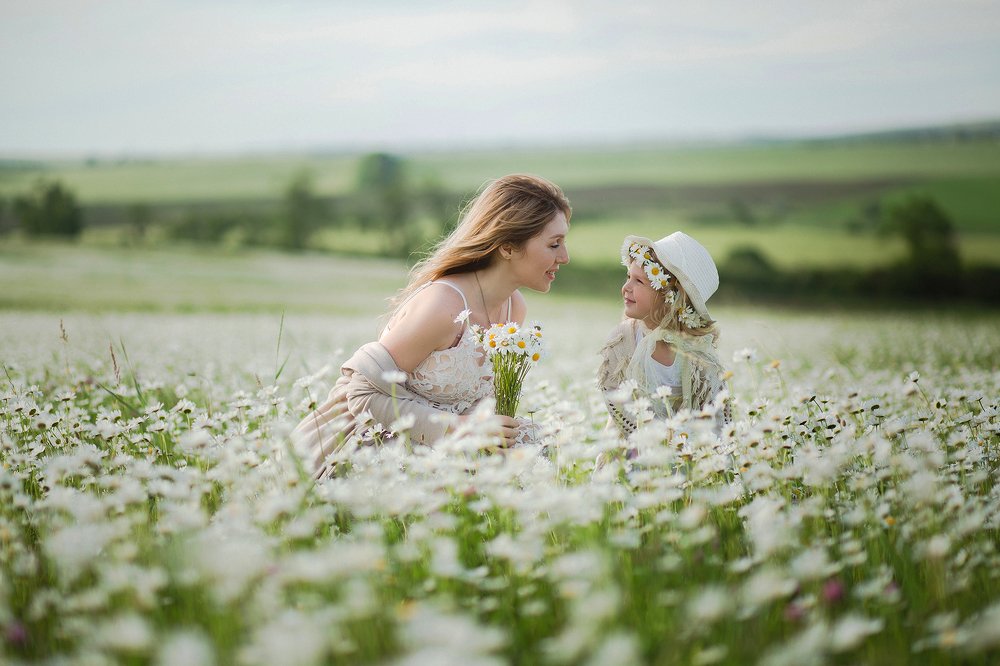 Ромашковое счастье