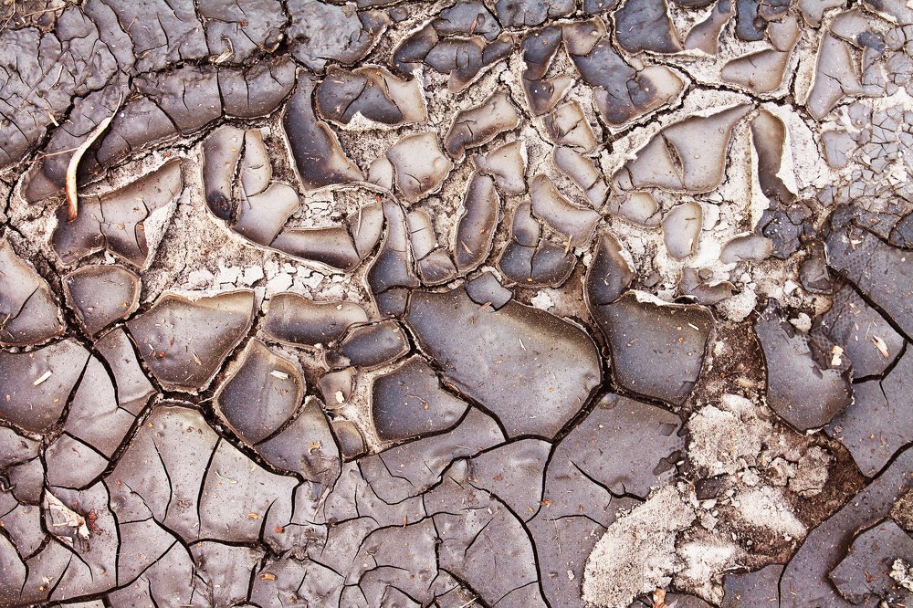 Шоколадная земля