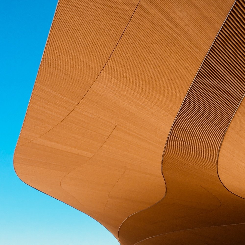 Library line in Helsinki