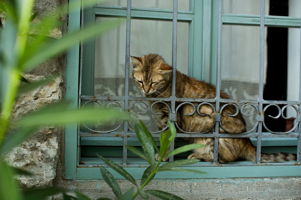 Photograph by Yuliya Golubtsova Genç