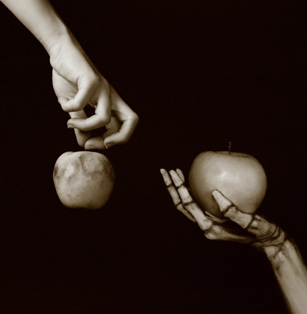 Ирония круговорота жизни