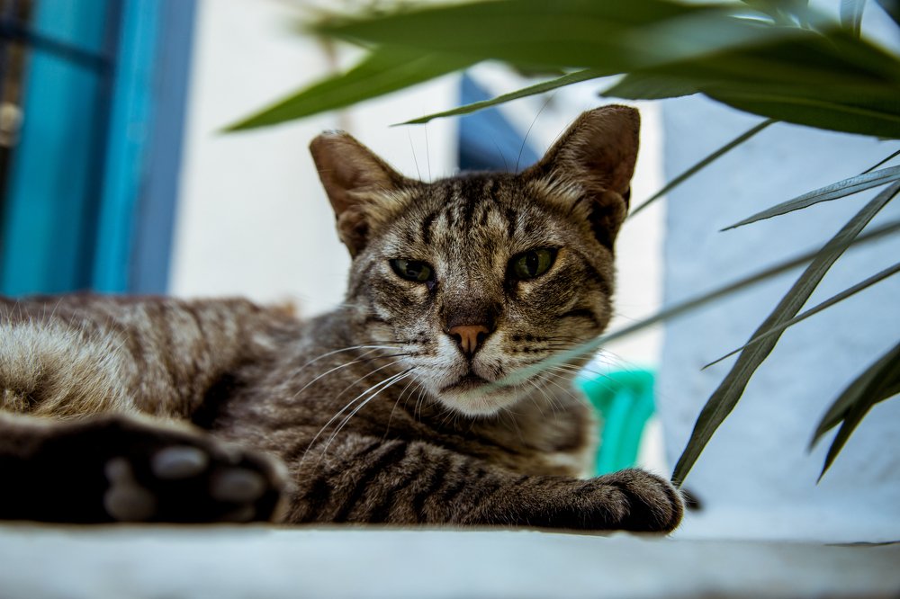 Photograph by Yuliya Golubtsova Genç