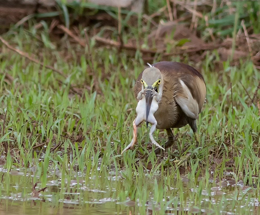 Death - The last sleep ?
