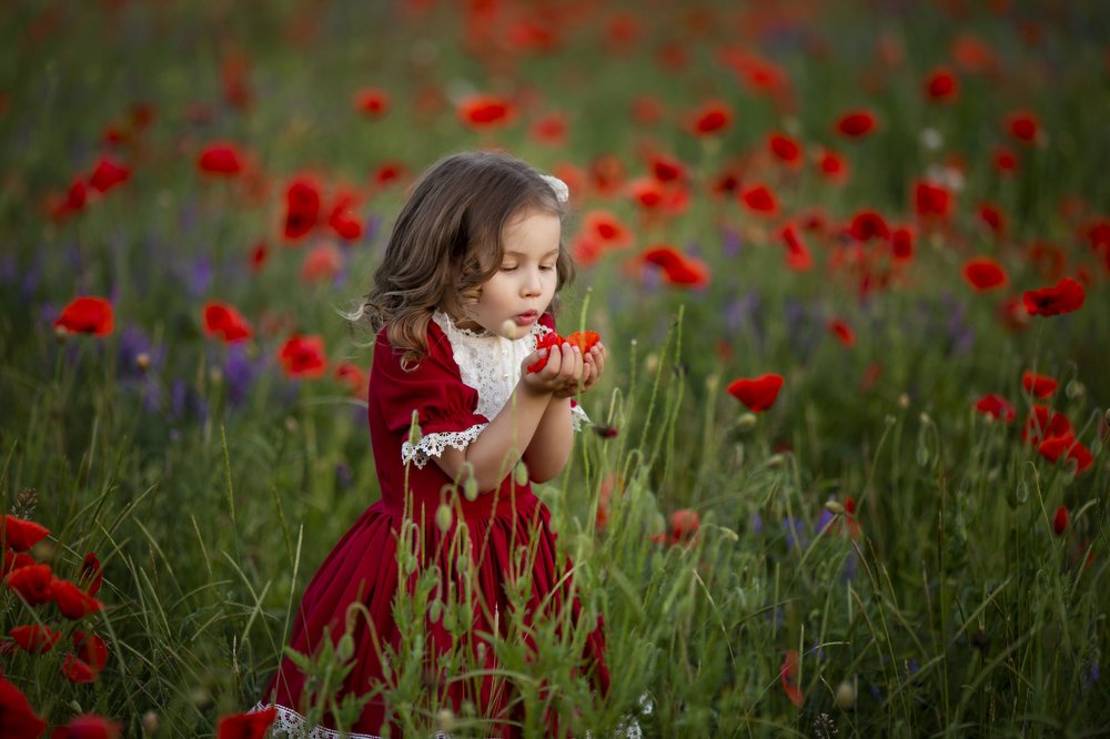 Маковый рай