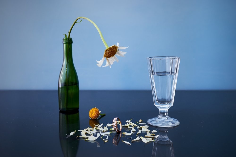 Любит не любит