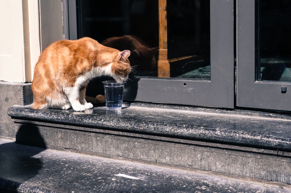 Photograph by Миша Торикашвили