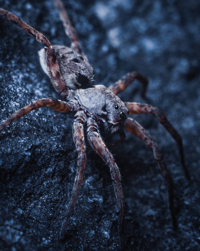 Photograph by Роман Фадеев