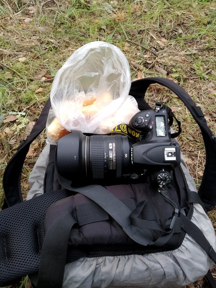 Обед фотографа