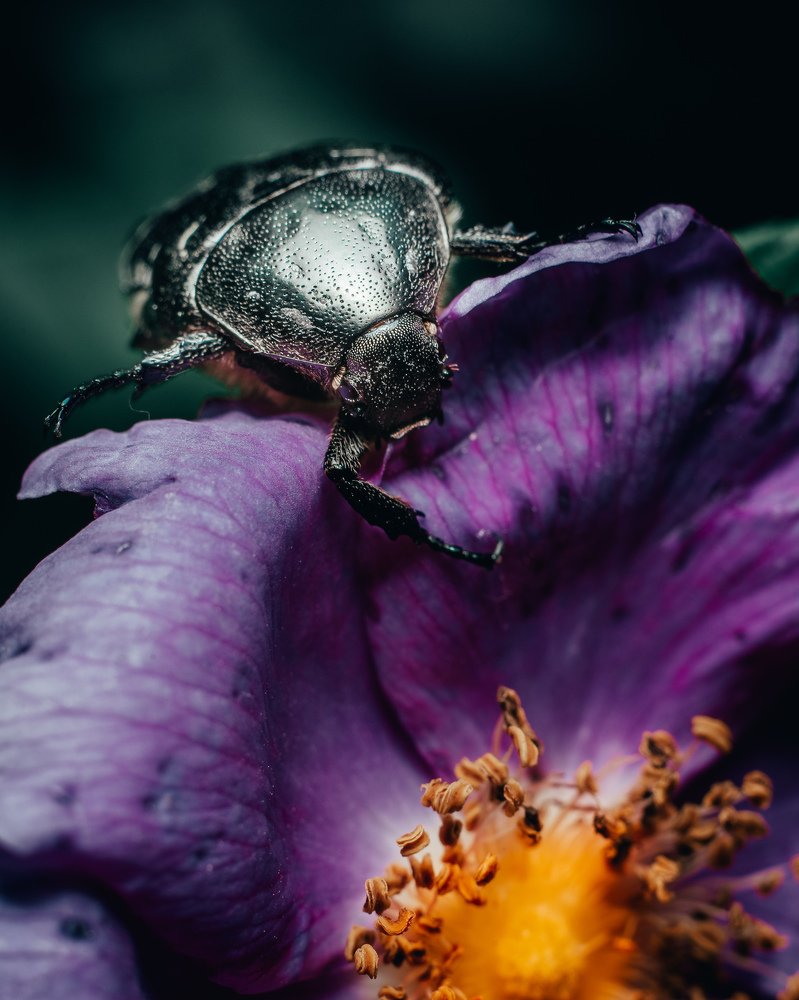 Photograph by Роман Фадеев