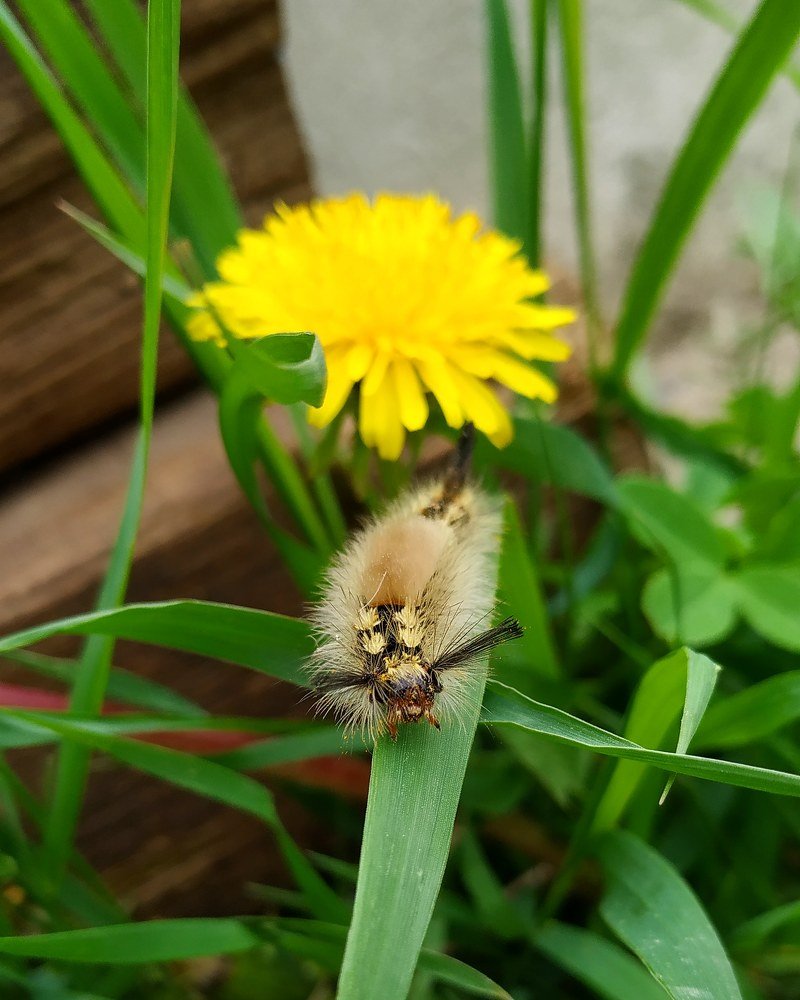 Photograph by Sofya Seredkina