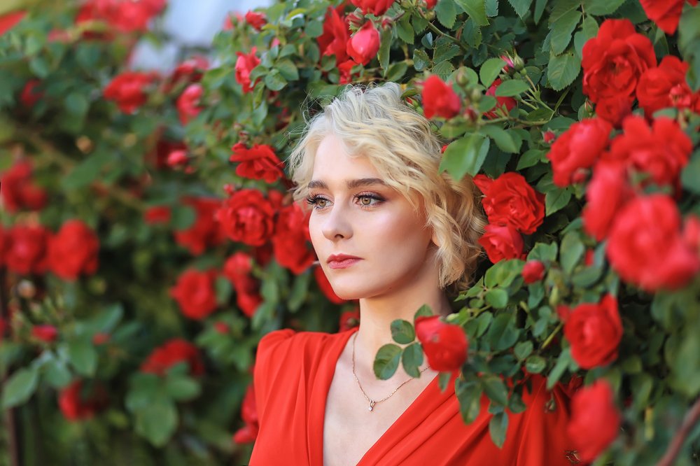 Роза в розах