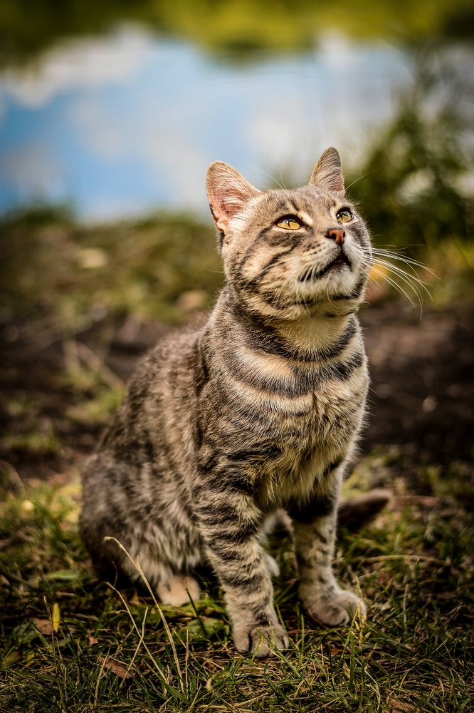 Photograph by Анастасия Донская