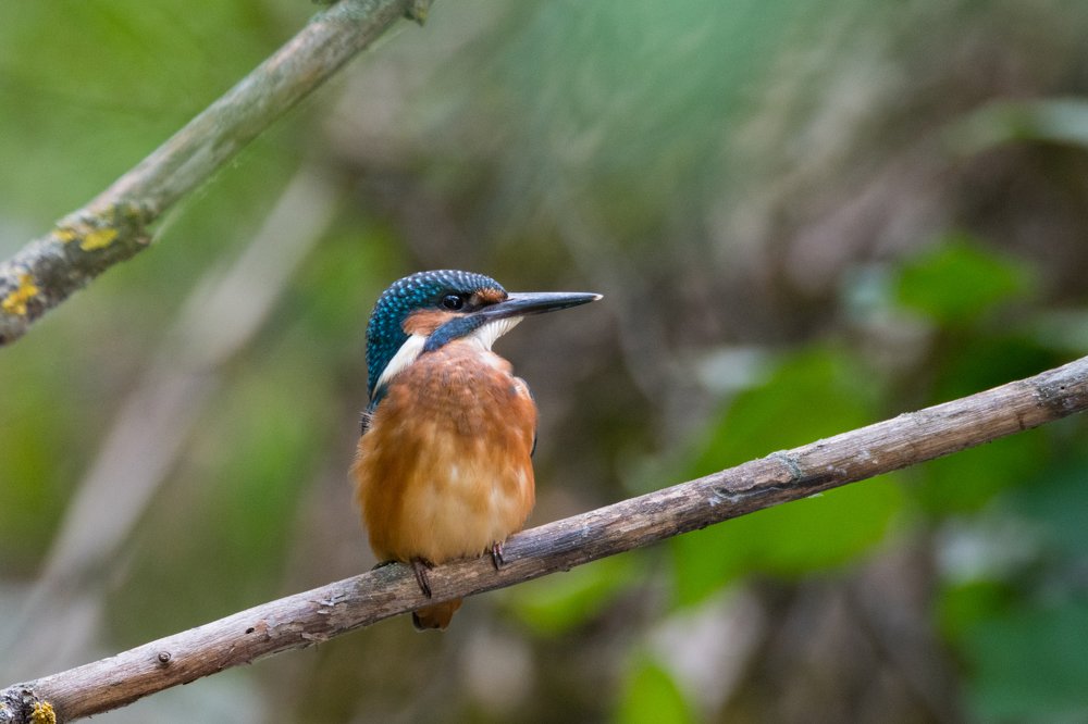 Photograph by Антон Мостовенко