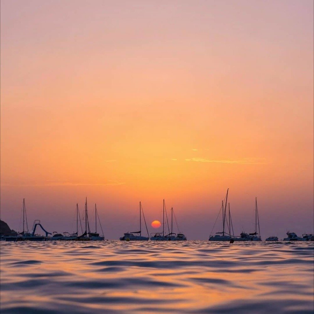 silhouettes in the ocean