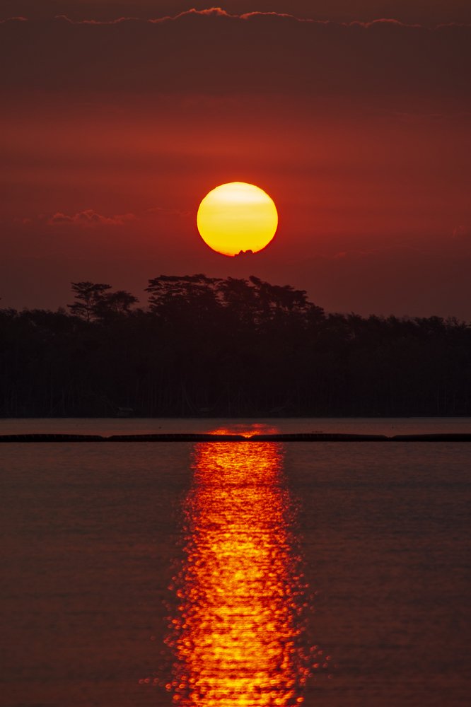 Sunset on the edge of the lake