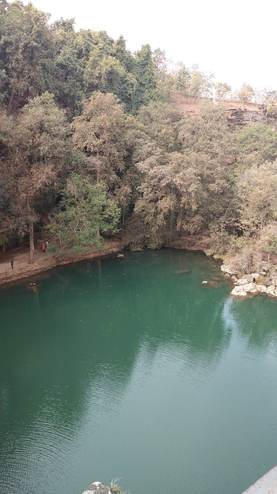 Panda fall