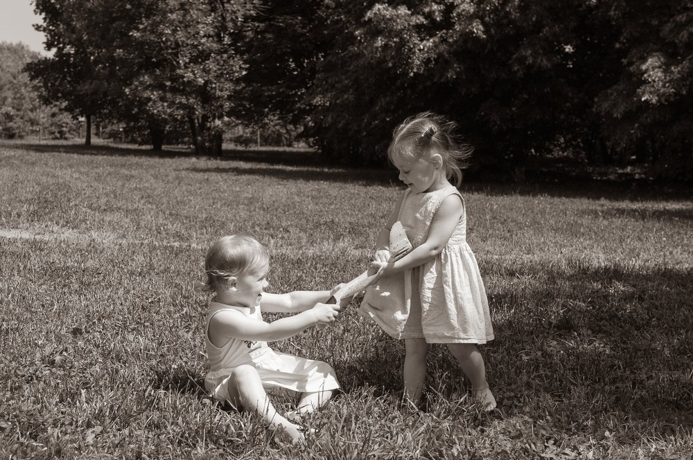 Мы делили апельсин...