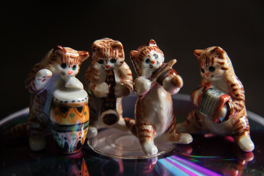 We're gonna play, although we have only the paws..