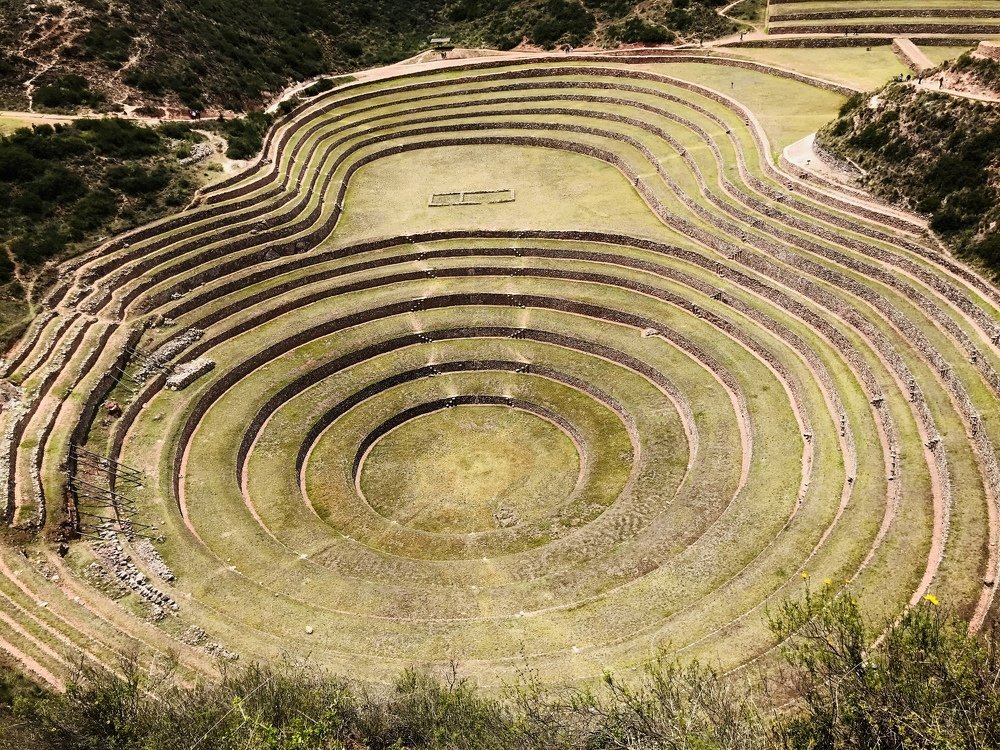 Photograph by Olga Thomas