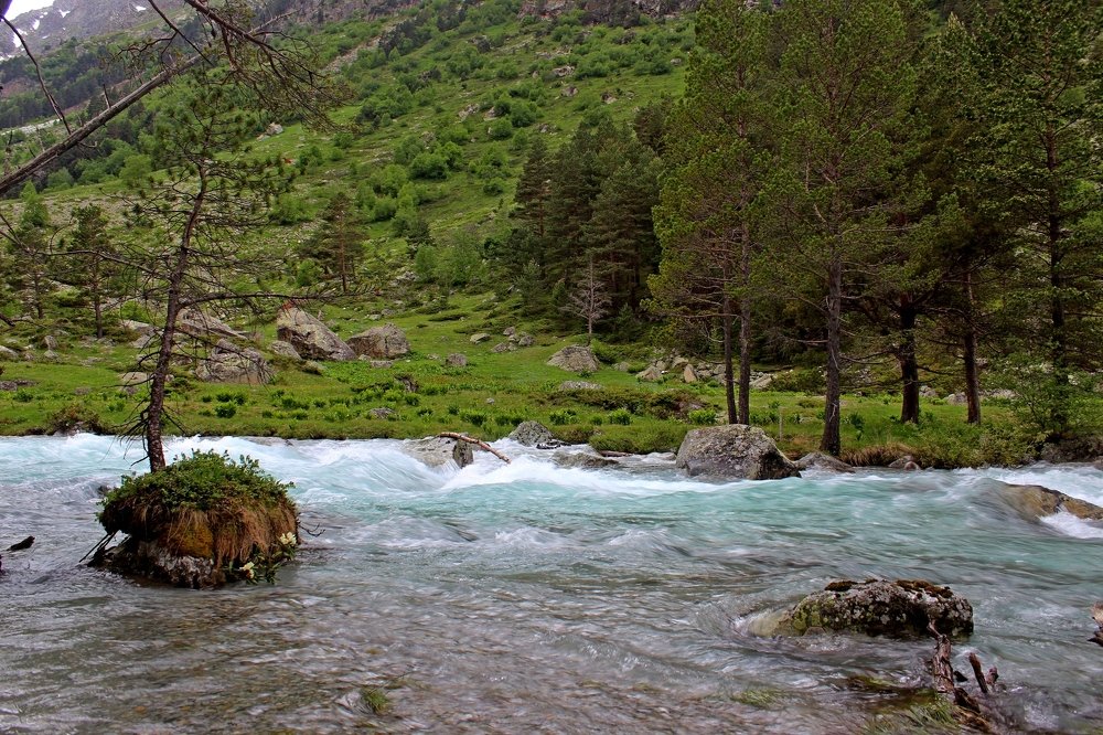 Заповедный уголок