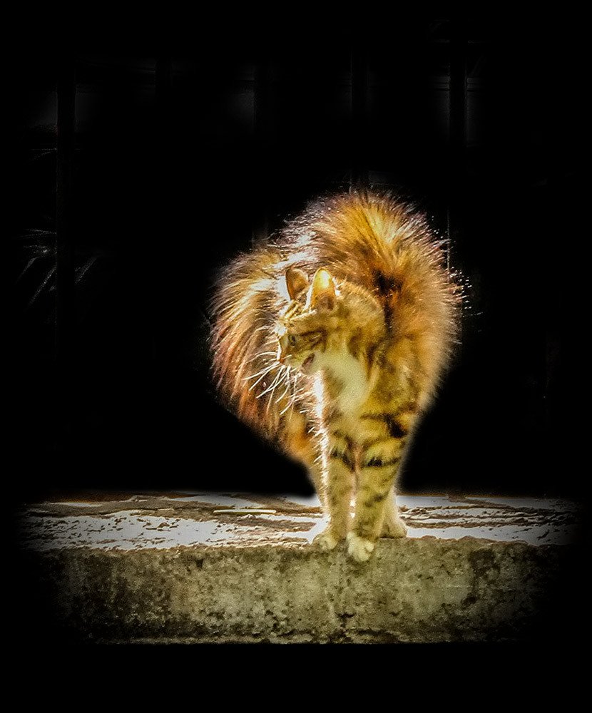 Ты ко мне не подходи!